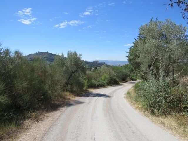 der Weg wird breiter und schlängelt sich weiter auf Assisi zu
