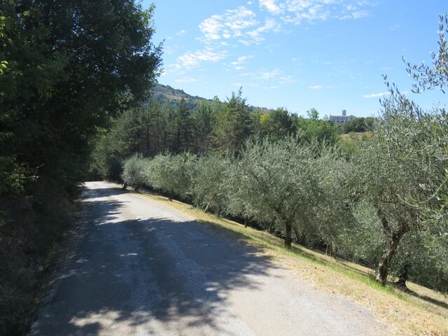 weit weg vom Strassenlärm und Verkehr laufen wir Richtung Assisi