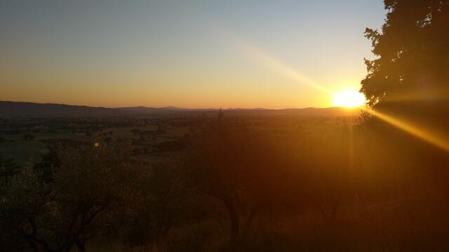 ...schaut Richtung Sonnenuntergang