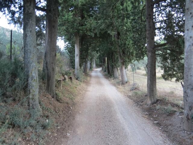 wir biegen in den Parco del Monte Subasio hinein, und wandern zur Festung Rocca Minore hinauf