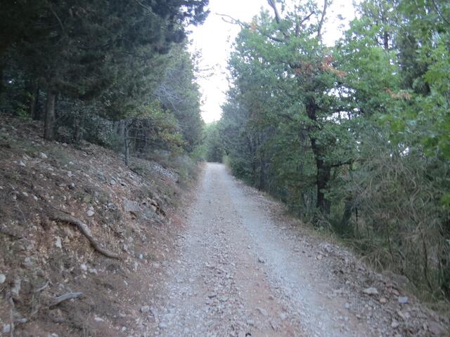 der geschotterte Wanderweg führt ab jetzt nur noch steil aufwärts