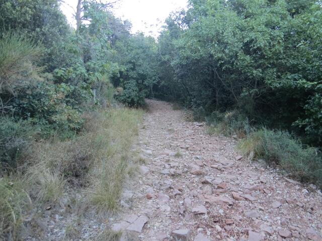 auf der Bergschulter des Monte Subasio führt der zum teil ruppiger Wanderweg steil aufwärts