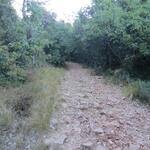 auf der Bergschulter des Monte Subasio führt der zum teil ruppiger Wanderweg steil aufwärts