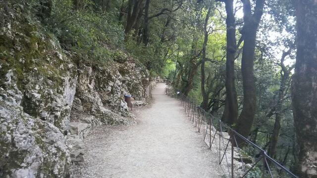 hinter dem Kloster führt ein breiter Weg in den Wald wo sich San Francesco aufhielt