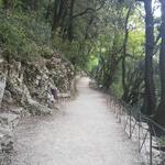 hinter dem Kloster führt ein breiter Weg in den Wald wo sich San Francesco aufhielt