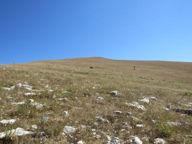 Blick hinauf zum Monte Subasio