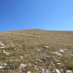 Blick hinauf zum Monte Subasio