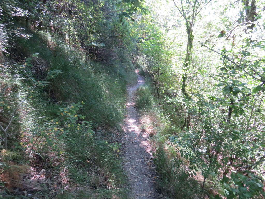 der Waldweg ist zeitweise schmal und rechts geht es steil hinunter