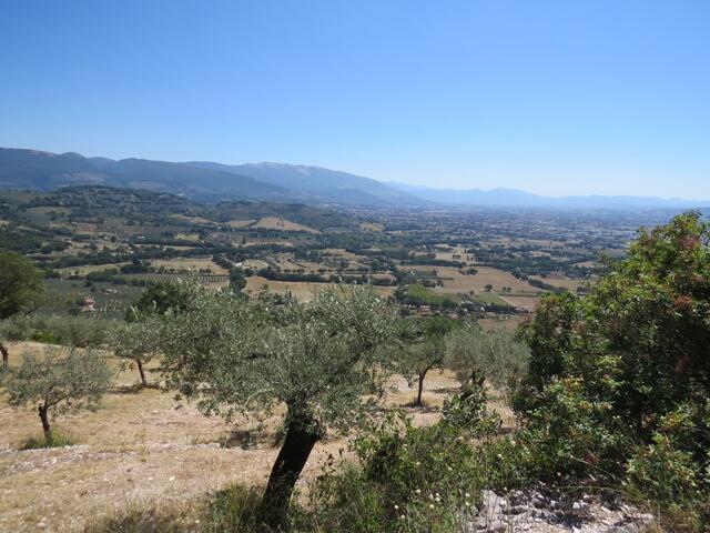 wir blicken über die Olivenbäume Richtung Foligno und Trevi unsere nächsten Etappen