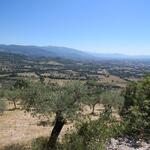 wir blicken über die Olivenbäume Richtung Foligno und Trevi unsere nächsten Etappen