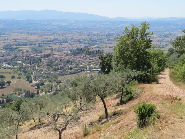 was für ein Ausblick hinunter nach Spello