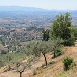 was für ein Ausblick hinunter nach Spello