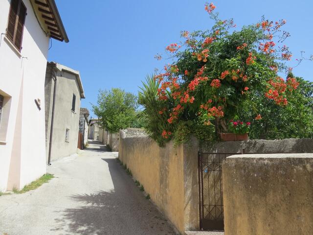 in Santa Maria in Valle geht es der Strasse steil und schweisstreibend aufwärts