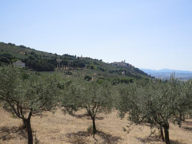 Trevi das antike Trebiae sieht man schon von weitem ist es doch auf einem Hügel erbaut