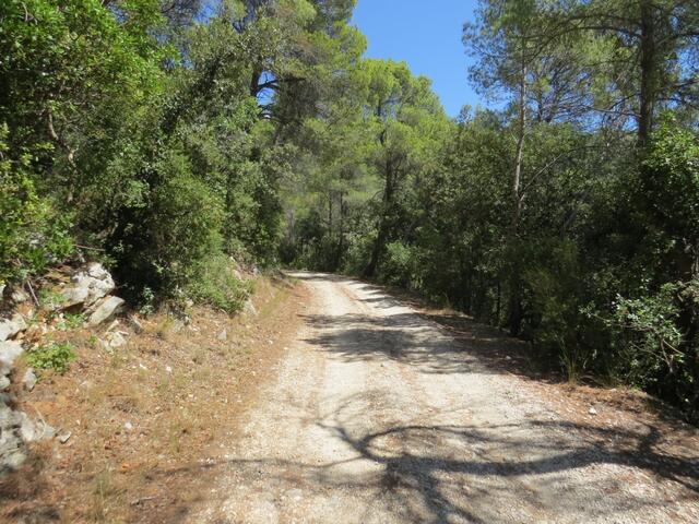 weiter geht unsere sehr schöne Wanderung