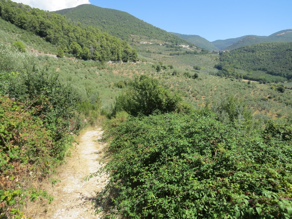 die Via di San Francesco führt uns nun von den Olivenhängen abwärts