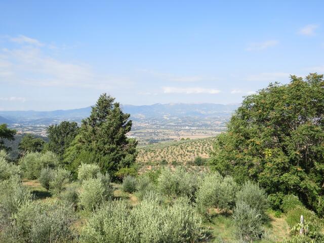 Blick in die Ebene wo es noch heisser ist als hier oben in der Hügellandschaft