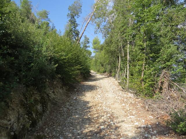 die Via di San Francesco führt uns nun wieder aufwärts zum Monte Giove (Jupiterberg)