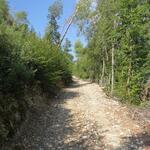 die Via di San Francesco führt uns nun wieder aufwärts zum Monte Giove (Jupiterberg)