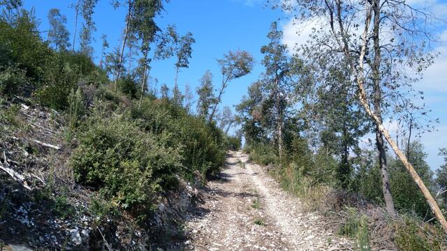 auch heute was für ein traumhafter Wandertag. Man muss aber Hitze mögen