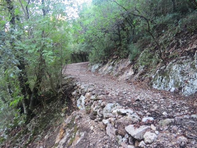 man könnte auch der Strasse entlang hinauf wandern. Der Waldweg ist aber schöner und kürzer