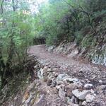 man könnte auch der Strasse entlang hinauf wandern. Der Waldweg ist aber schöner und kürzer