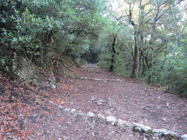 ...zwischendurch aber auch schön breit. Der Waldweg kreuzt zwei mal die Strasse