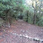 ...zwischendurch aber auch schön breit. Der Waldweg kreuzt zwei mal die Strasse