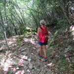 wir sind froh zwischendurch in den Schatten der Bäume zu tauchen