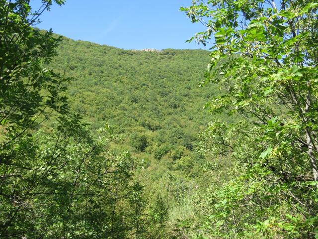 alles am Hang des Monte di Pàtrico wandern wir Richtung Ceselli