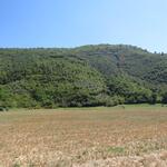 während dem wandern begleitet uns eine schöne grüne Hügellandschaft