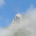 Altmann versteckt sich hinter den Wolken