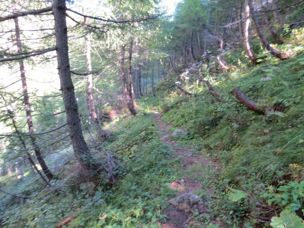IMG_0286.JPG