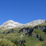 IMG_0317.JPG