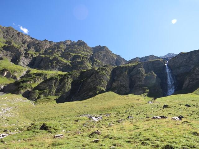 IMG_0377.JPG