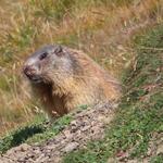 IMG_0523.JPG