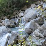 IMG_0792.JPG