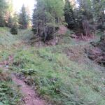 IMG_0791.JPG