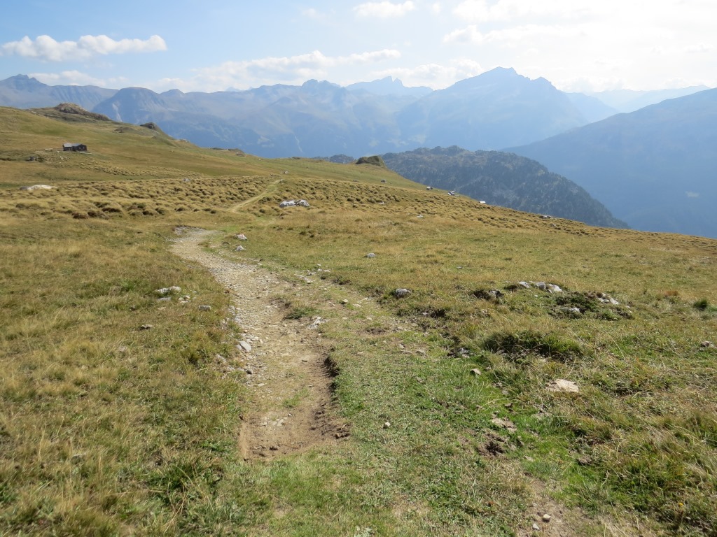 IMG_0880.JPG
