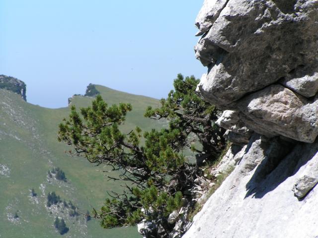 so schön diese Natur