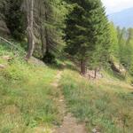 IMG_0895.JPG