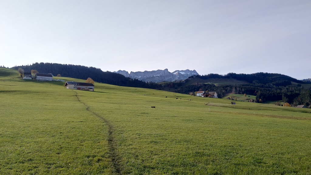 wir durchqueren Wiesen und wandern Richtung Kaubad. Am Horizont ist der Säntis ersichtlich