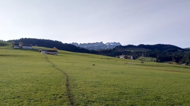 wir durchqueren Wiesen und wandern Richtung Kaubad. Am Horizont ist der Säntis ersichtlich