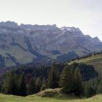 Blick zum Säntis. Viele durchgeführte Wanderungen im Alpsteingebiet kommen uns nun in den Sinn