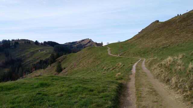 auf einem sehr schönen Höhenweg, wandern wir nun Richtung Kronberg