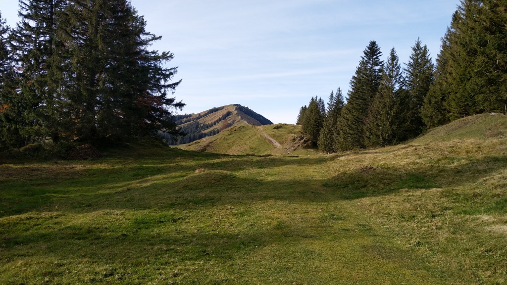 unser Zwischenziel der Kronberg rückt näher