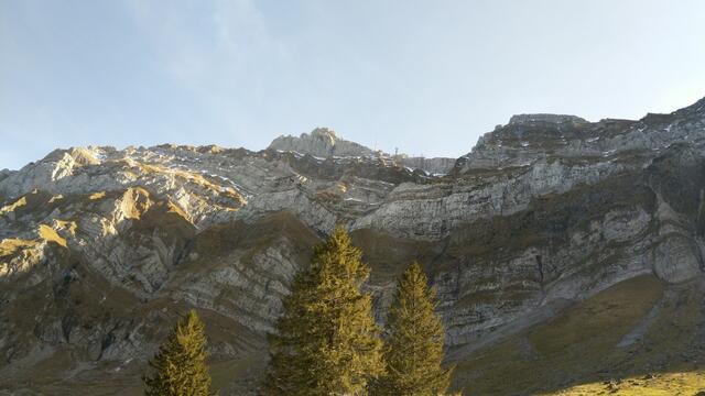 steil führen die Felswände hinauf zum Gipfel des Säntis. Die Wanderung hinauf zum Gipfel kommt uns sofort wieder in den Sinn