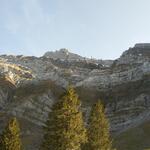 steil führen die Felswände hinauf zum Gipfel des Säntis. Die Wanderung hinauf zum Gipfel kommt uns sofort wieder in den Sinn