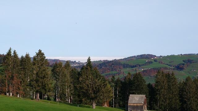 Blick Richtung Bodensee das unter einer dicken Nebeldecke liegt