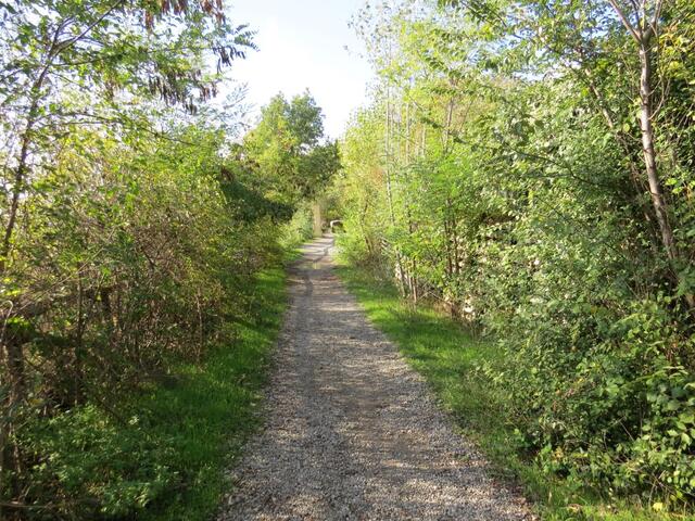 der Waldweg führt uns nun zu unserem Tagesziel Casalecchio di Reno